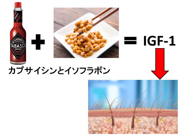 円形脱毛症　病院